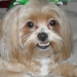 Meet your Posher, Jackie